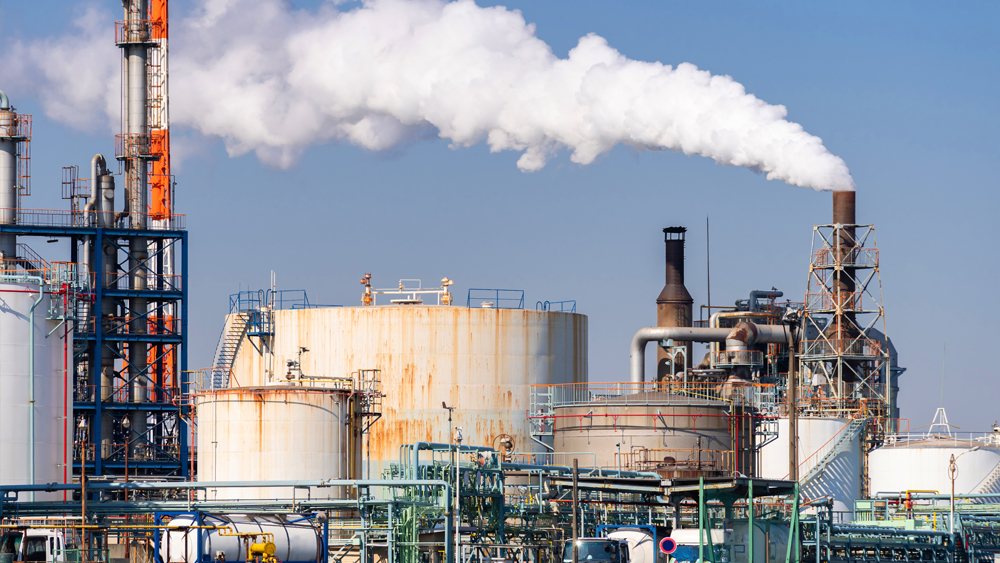 ���{�h��